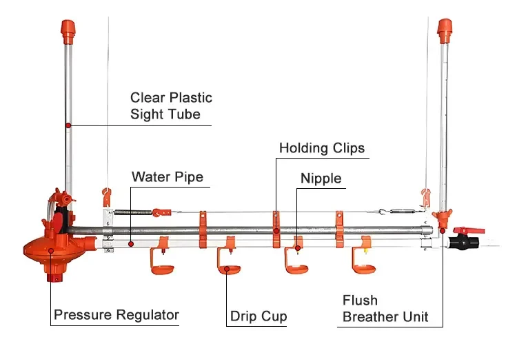 Auto-Drinking System Model