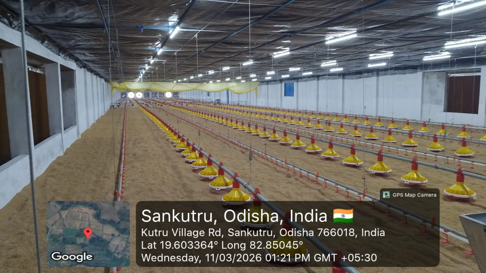 Large Scale Poultry Farm